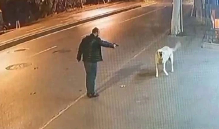 Engelli köpeğe tabancasını doğrulttu, serbest bırakıldı: Üzerindeki silah da ruhsatsız!