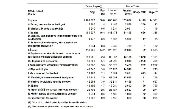 Sektör Bilançoları, 2024