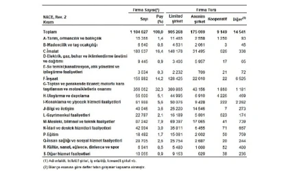 Sektör Bilançoları, 2024