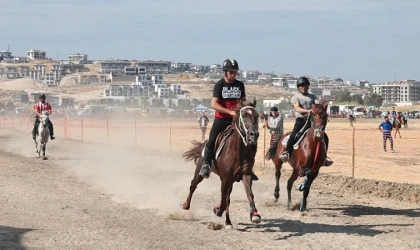 Türkiye’nin şampiyon atları Menemen’de yarıştı