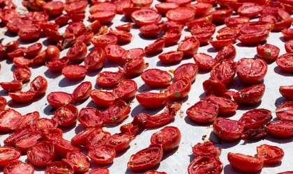 Kuru domates ihracatı 100 milyon doları aştı