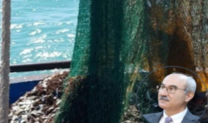 Prof. Dr. Sarı Marmara'daki katliama isyan etti