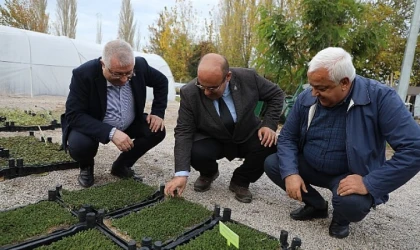 Edremit Belediyesi’nden “Küresel Isınma ve Kuraklıkla Mücadele Programı”