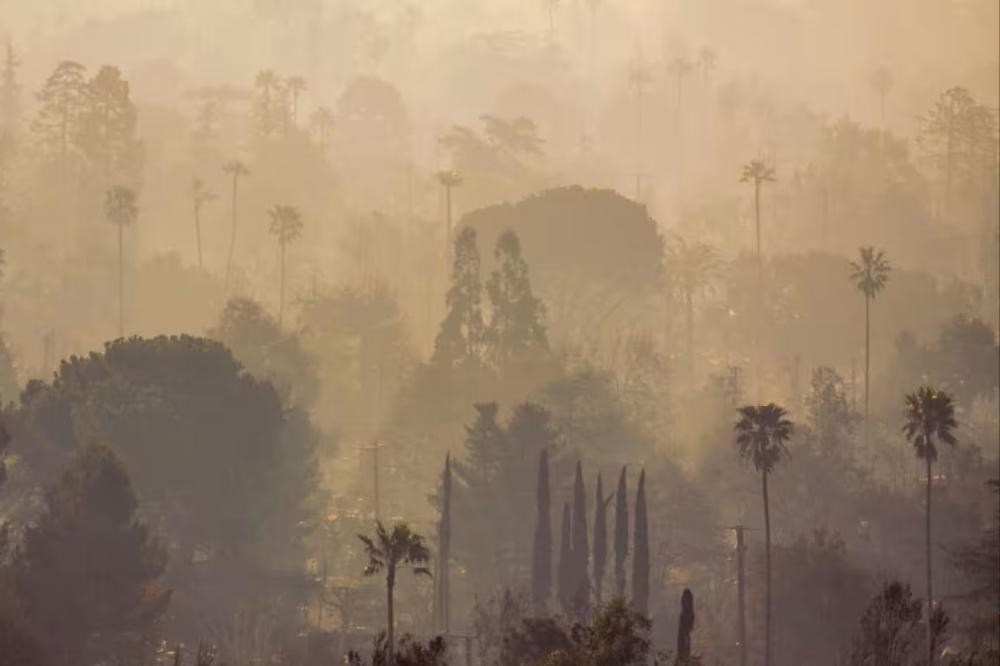 Los Angeles'ta Yaşanan Felaketten Kareler