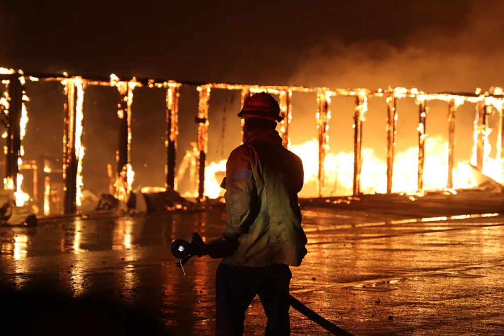 Los Angeles'ta Yaşanan Felaketten Kareler