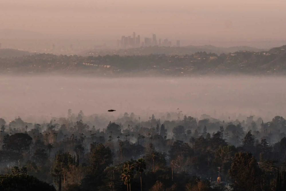 Los Angeles'ta Yaşanan Felaketten Kareler