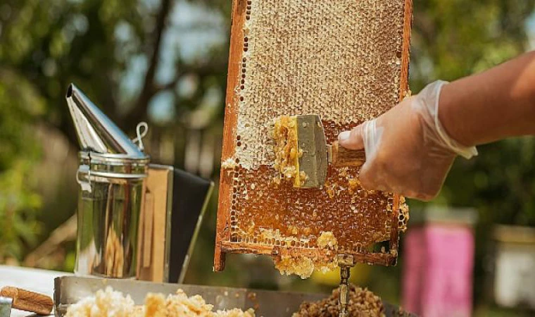 Ege Bölgesi’nde su ürünleri ve hayvansal mamuller ihracatı 1, 5 milyar doları aştı