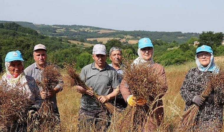 Tarım kenti Kandıra’da, Kandıra Belediyesi tarafından tarımsal üretimi desteklemek amacıyla sürdürülen çalışmalar aralıksız devam ediyor