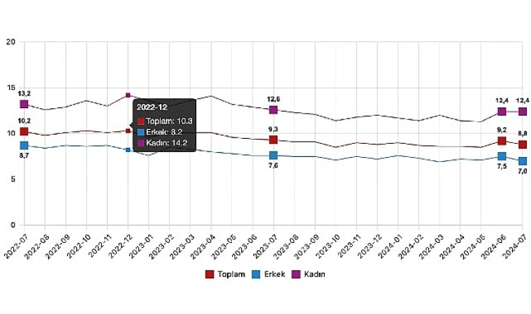 TÜİK: Mevsim etkisinden arındırılmış işsizlik oranı %8,8 seviyesinde