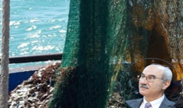 Prof. Dr. Sarı Marmara'daki katliama isyan etti