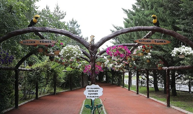 Keçiören’de Modern Serada Üretilen Çiçekler İlçeyi Süslüyor