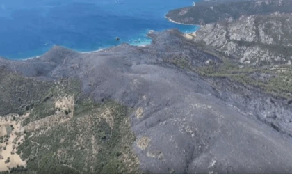 Urla’nın gözbebeği Yağcılar koyunda imar skandalı: 45 bin ağaç kesilecek