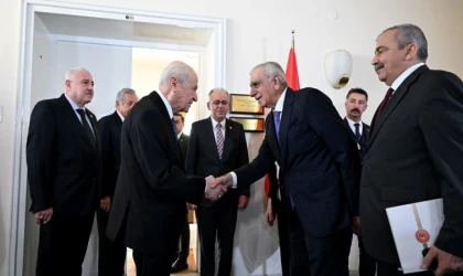 Ahmet Türk Bahçeli'den Memnun