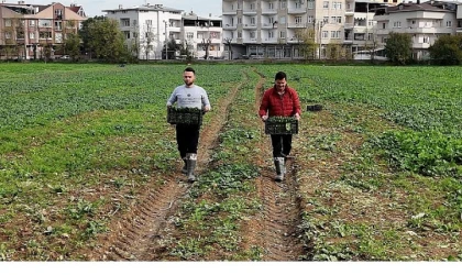 Osmangazi Belediyesi Doğal Üretimle Sofralara Sağlık Sunuyor