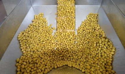 Zeytin ve zeytinyağı sektöründe güçler URGE Projesi’nde birleştirilecek