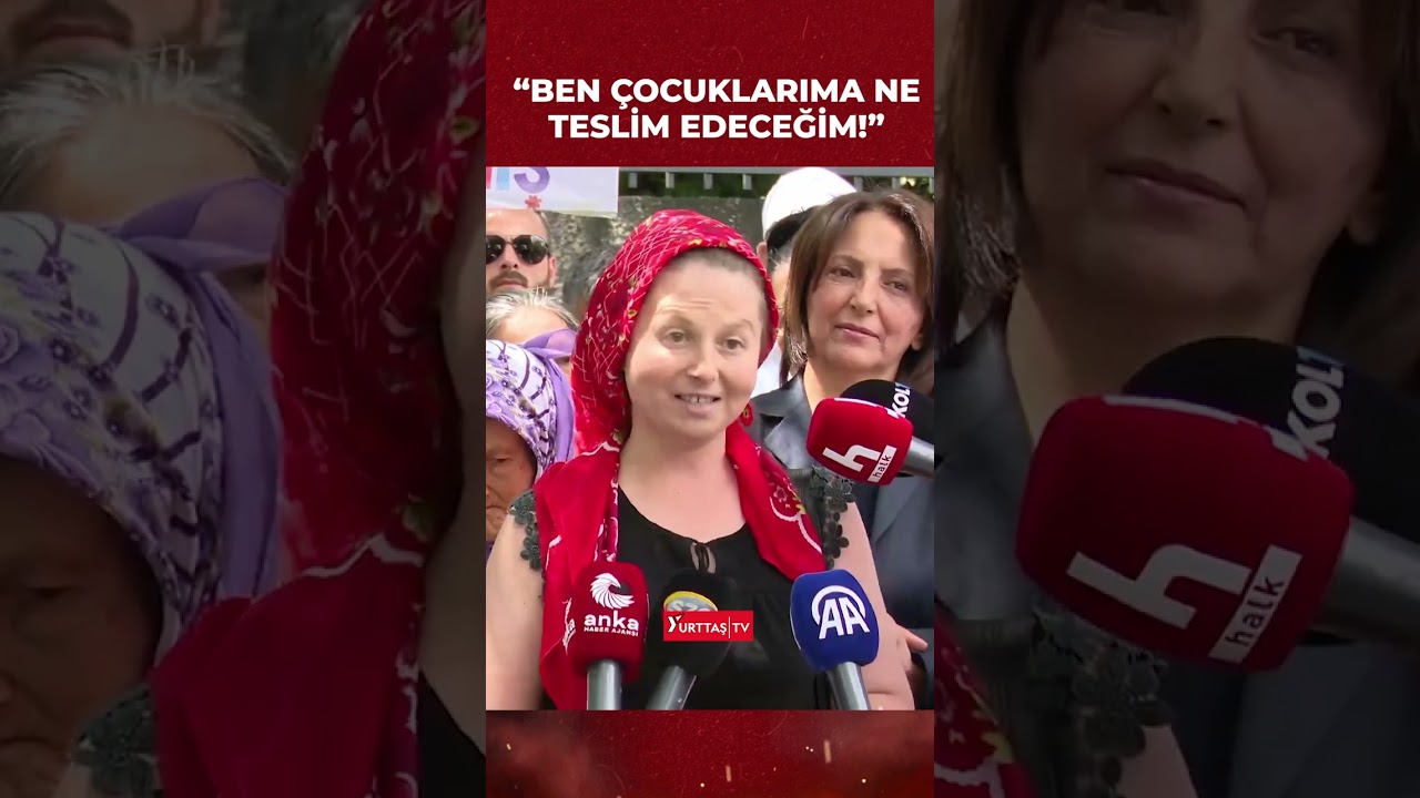 Zeytinlikleri korumak için TBMM'ye gelen Zeynep: Bir şirket geldi ve köyümü yerle bir etti!